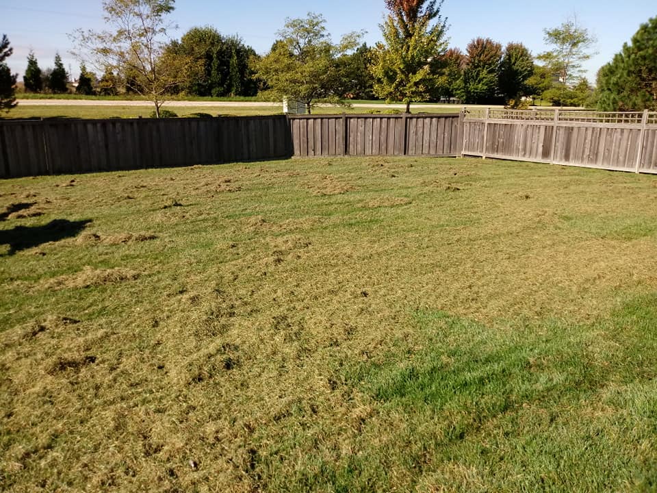 Nomad Landscaping Co.: Service Image-9 Nomad Landscaping Co.: Service Image-9