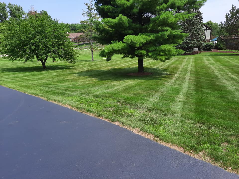 Nomad Landscaping Co.: Service Image-10 Nomad Landscaping Co.: Service Image-10