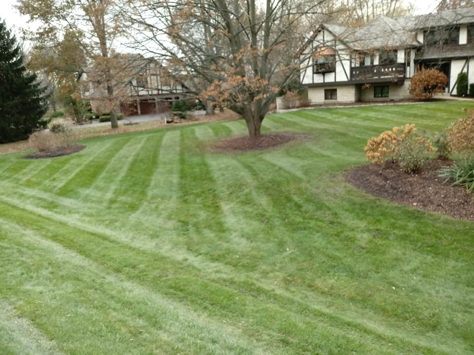 Nomad Landscaping Co.: Service Image-11 Nomad Landscaping Co.: Service Image-11