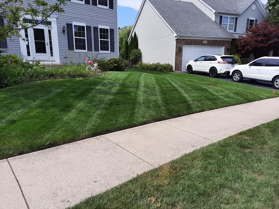 Nomad Landscaping Co.: Service Image-1 Nomad Landscaping Co.: Service Image-1