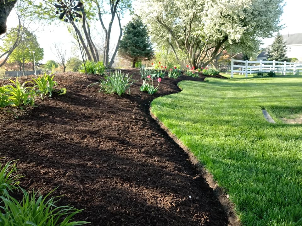 Nomad Landscaping Co.: Service Image-4 Nomad Landscaping Co.: Service Image-4
