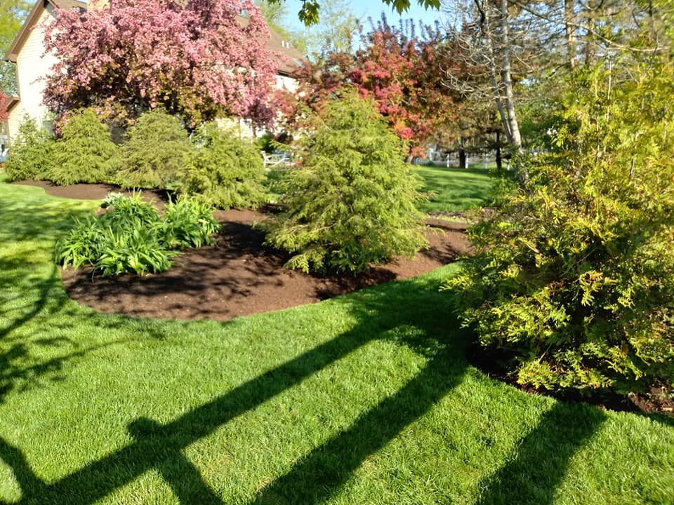 Nomad Landscaping Co.: Service Image-5 Nomad Landscaping Co.: Service Image-5