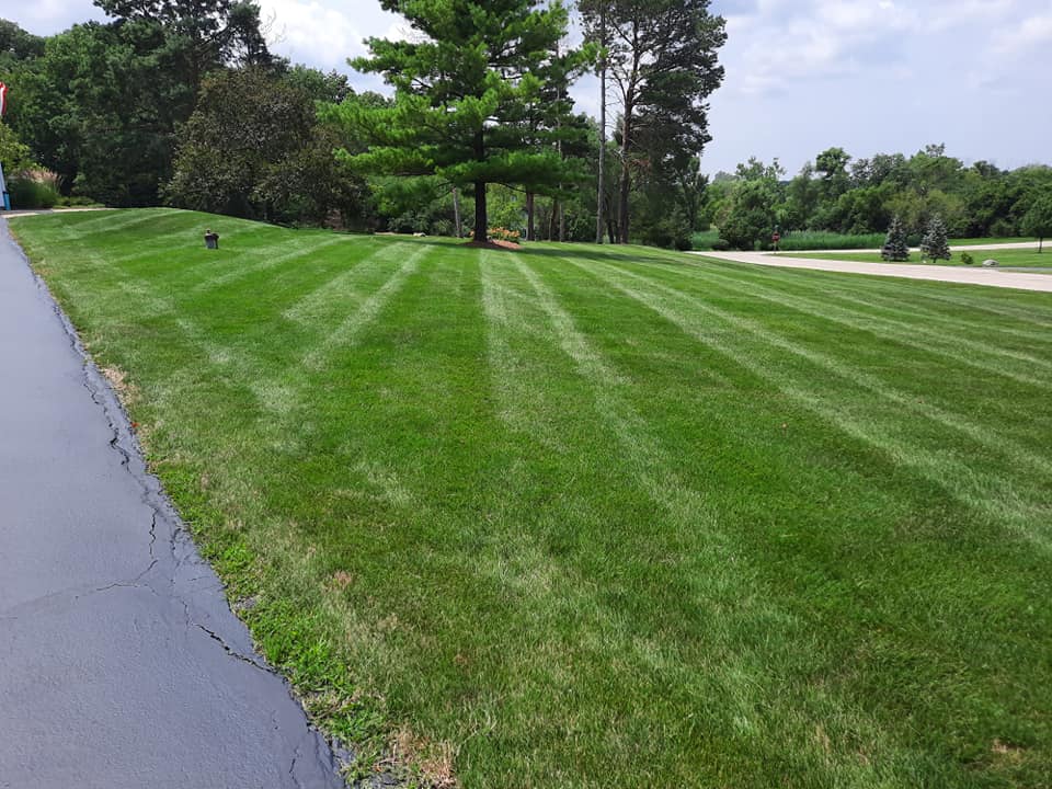 Nomad Landscaping Co.: Service Image-7 Nomad Landscaping Co.: Service Image-7