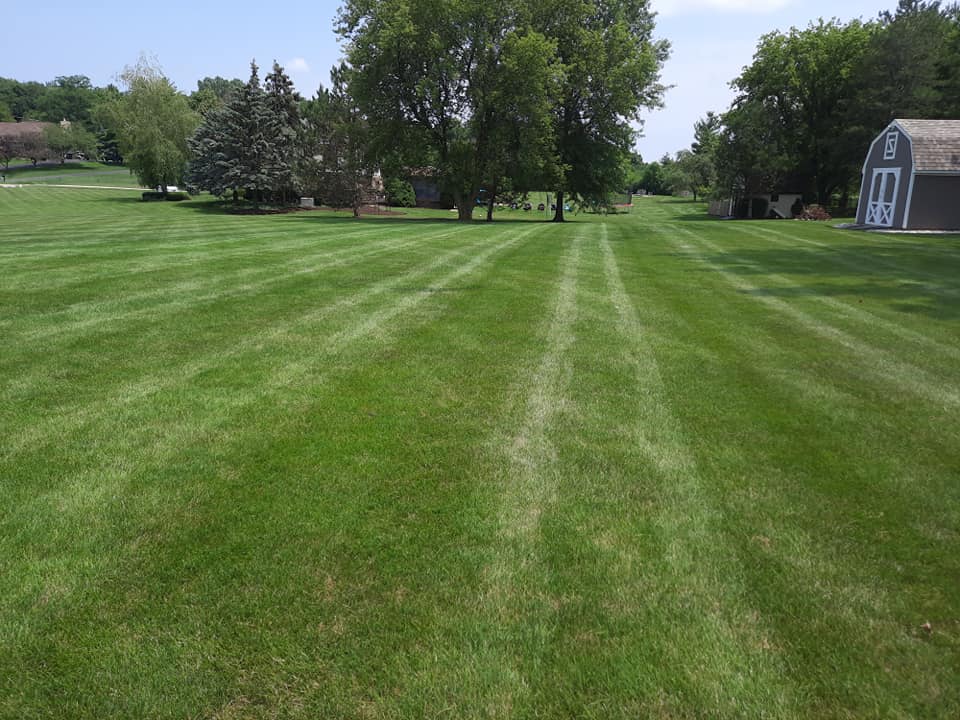 Nomad Landscaping Co.: Service Image-8 Nomad Landscaping Co.: Service Image-8