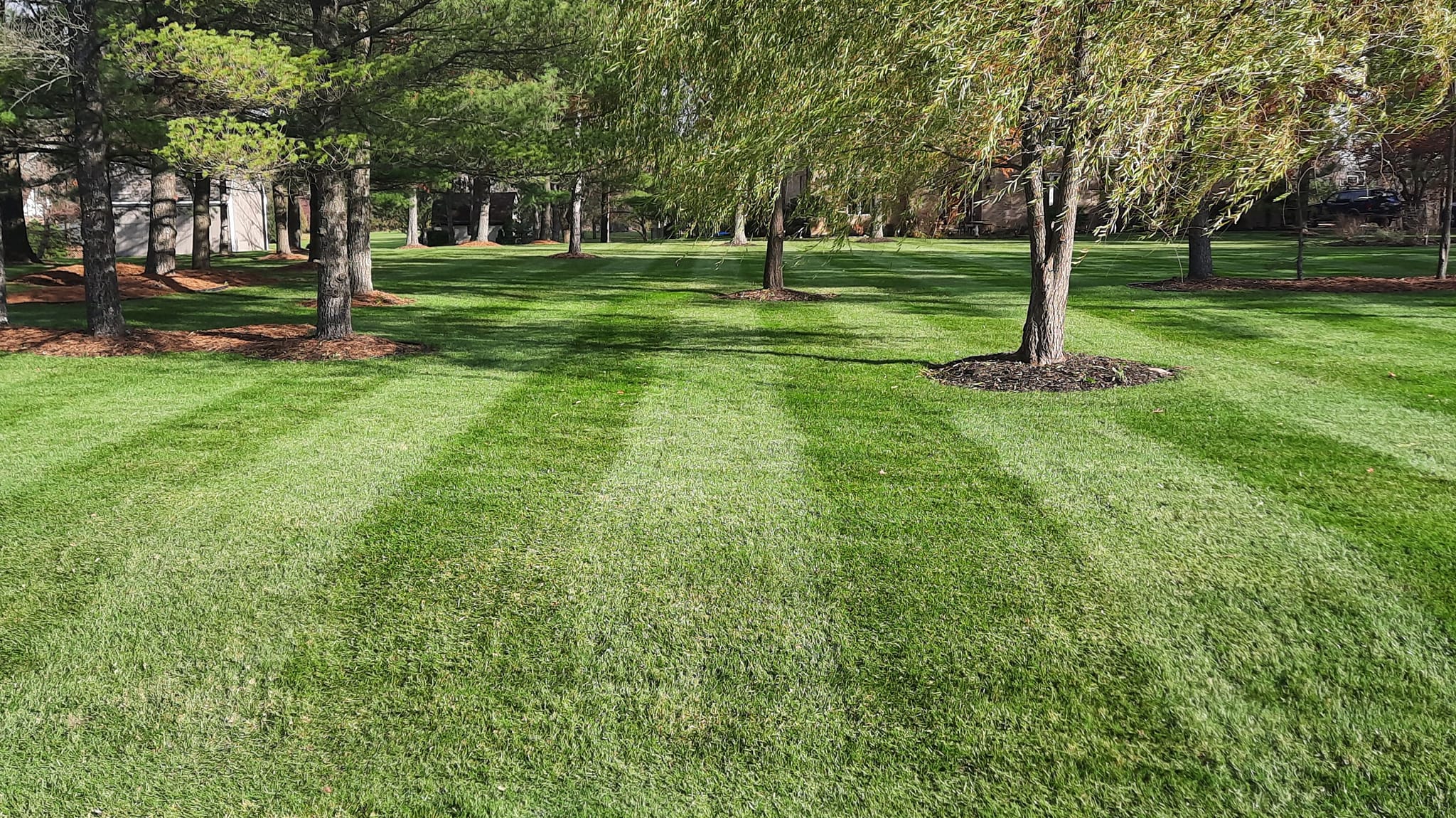 Nomad Landscaping Co.: Service Image-0 Nomad Landscaping Co.: Service Image-0